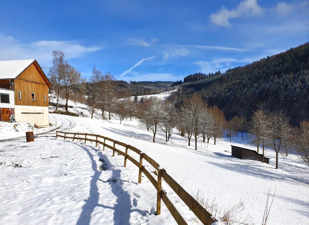 Ferienhaus Grimme - 350M2, 18 Betten - Mit Indoorspielplatz, Pool, Grosser Terrasse, Grill, Sauna, Kicker, Dart, Uvm - Ideal Fuer Familien Schmallenberg Exteriér fotografie