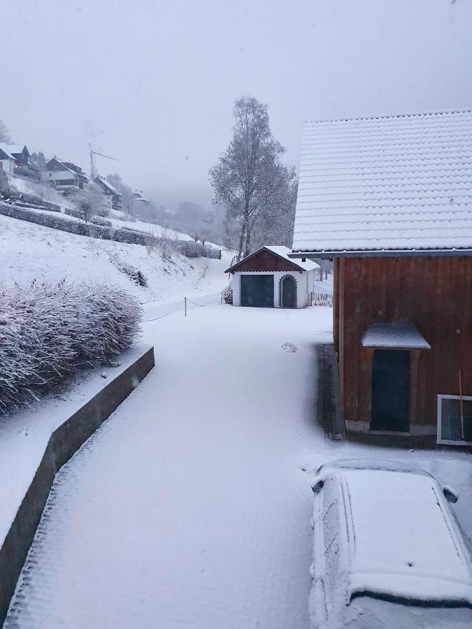 Ferienhaus Grimme - 350M2, 18 Betten - Mit Indoorspielplatz, Pool, Grosser Terrasse, Grill, Sauna, Kicker, Dart, Uvm - Ideal Fuer Familien Schmallenberg Exteriér fotografie