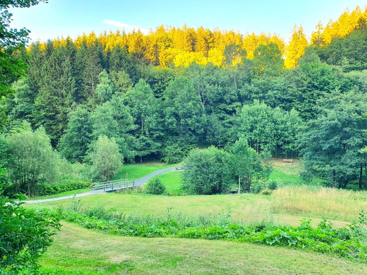 Ferienhaus Grimme - 350M2, 18 Betten - Mit Indoorspielplatz, Pool, Grosser Terrasse, Grill, Sauna, Kicker, Dart, Uvm - Ideal Fuer Familien Schmallenberg Exteriér fotografie