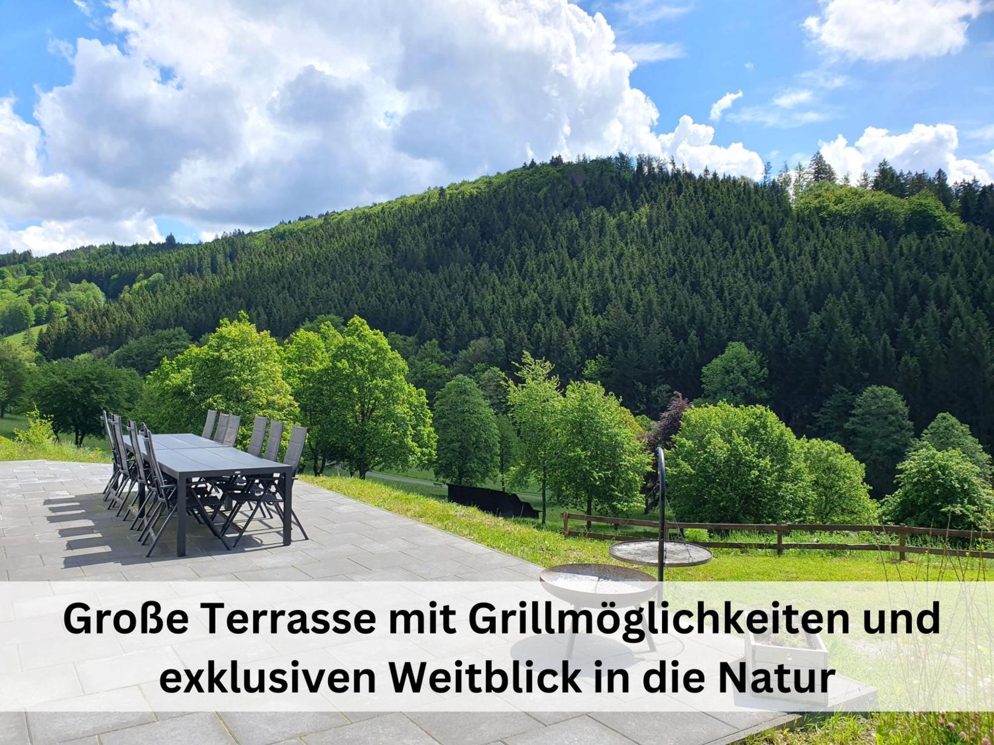 Ferienhaus Grimme - 350M2, 18 Betten - Mit Indoorspielplatz, Pool, Grosser Terrasse, Grill, Sauna, Kicker, Dart, Uvm - Ideal Fuer Familien Schmallenberg Exteriér fotografie