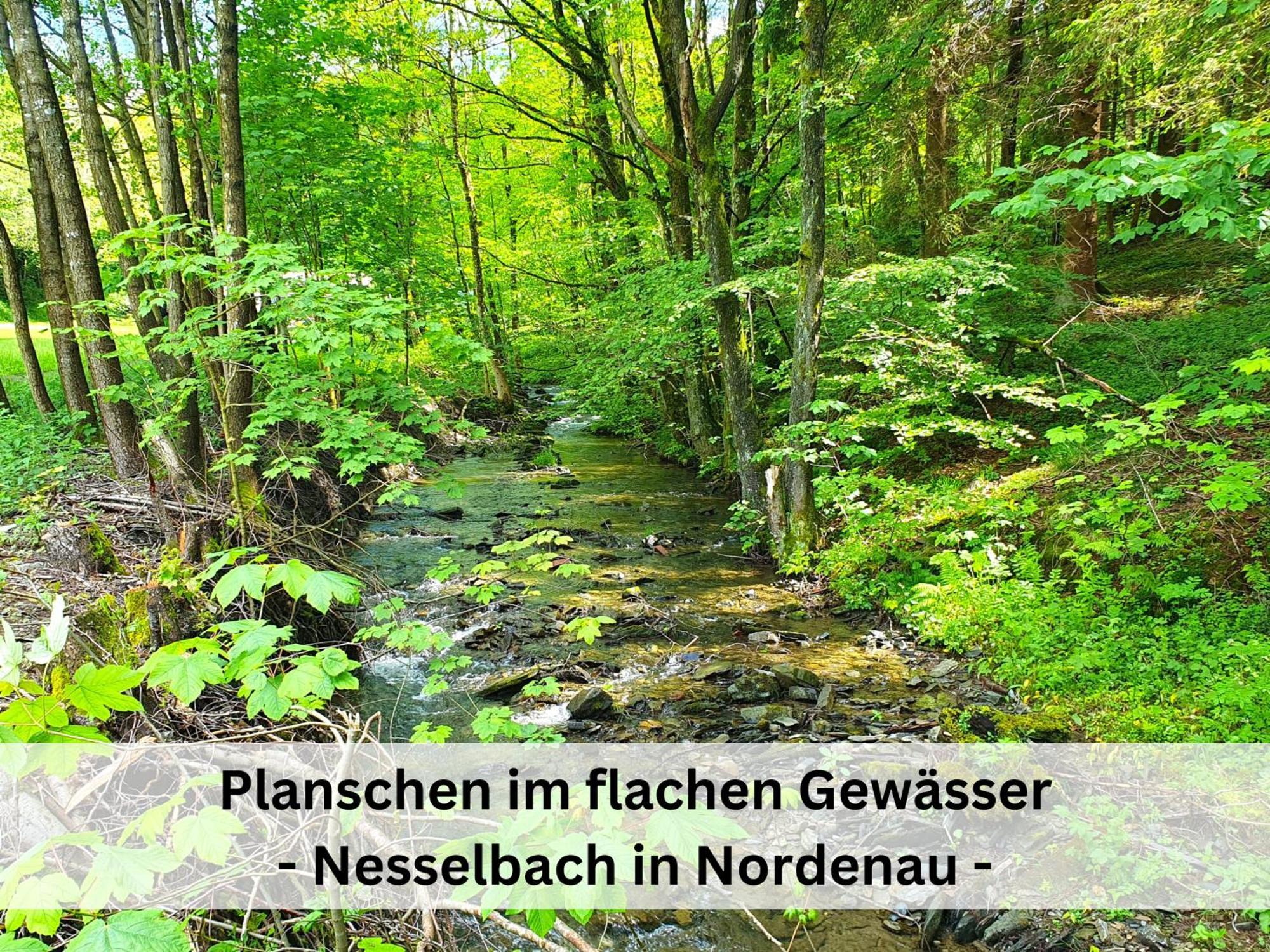 Ferienhaus Grimme - 350M2, 18 Betten - Mit Indoorspielplatz, Pool, Grosser Terrasse, Grill, Sauna, Kicker, Dart, Uvm - Ideal Fuer Familien Schmallenberg Exteriér fotografie